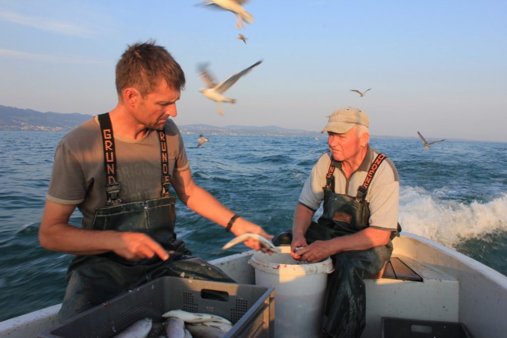Roland und Peter Stohr beim Fischfang